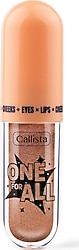 Callista One For All 05 That Antique Likit Far