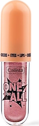 Callista One For All 06 Fairy Dreams Likit Far