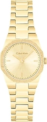 Calvin Klein Geometric Elegance CK2510014 Kadın Kol Saati