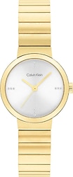 Calvin Klein Precise CK2520041 Kadın Kol Saati
