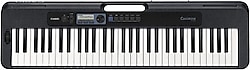 Casio Org