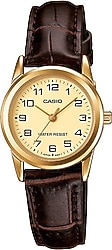 Casio Standart LTP-V001GL-9BUDF Kadın Kol Saati