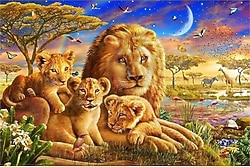 Castorland Dawn Pride 500 Parça Puzzle