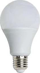 Cata CT-4274 Gün Işığı 15 W E27 LED Ampul
