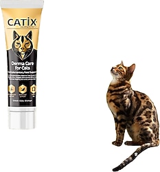 Catix Derma Care 100 ml Kedi Macunu