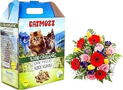 Catmozz Bahar Kokulu Doğal Organik Çam Peleti 10 lt Kedi Kumu
