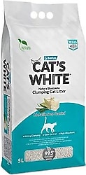 Cat's White Kedi Kumu