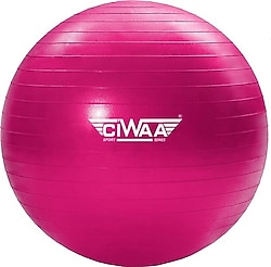 Ciwaa CWA-2045 65 cm Pembe Pilates Topu