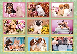 Clementoni Puppies Collage 180 Parça Puzzle 29788