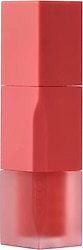 CLIO Chiffon Blur Tint 02 Coral Clay Likit Ruj