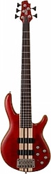Cort A5 PLUS FMMH OPBC 5 Telli Bas Gitar