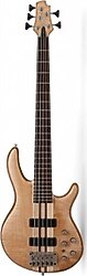 Cort A5PLUS FMMH OPN 5 Telli Bas Gitar