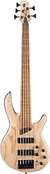 Cort B5 Element 5 Telli Bas Gitar