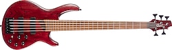 Cort B5 Element OPBR 5 Telli Bordo Bas Gitar