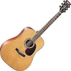 Cort EARTH100NS Natural Satin Akustik Gitar