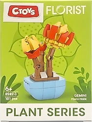 Ctoys Florist Burçlar Gemini Saksılı Bitki Yapım Seti