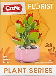 Ctoys Florist Burçlar Leo Saksılı Bitki Yapım Seti