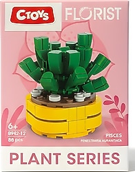 Ctoys Florist Burçlar Pisces Saksılı Bitki Yapım Seti