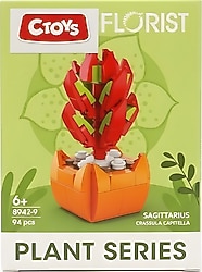 Ctoys Florist Burçlar Sagittarius Saksılı Bitki Yapım Seti