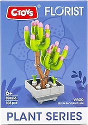 Ctoys Florist Burçlar Virgo Saksılı Bitki Yapım Seti