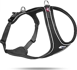 Curli Belka Comfort XS Köpek Göğüs Tasması