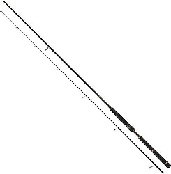 Daiwa BG Seabass 244 cm 7-28 gr 2 Parçalı Spin Kamış