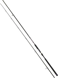 Daiwa CrossCast 305 cm 28-84 gr 2 Parça Shore Jigging Olta Kamışı