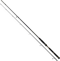 Daiwa BG Seabass 250 cm 10-35 gr 2 Parçalı Spin Kamış