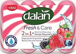 Dalan Fresh & Care 2 In 1 Kremsi Dokunuş Orman Meyveleri 4x90 gr Sabun