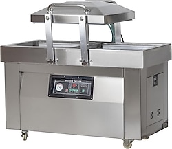 Dalle DZ-400/2SD Vakum Makinesi