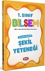 Data Yayınları 1. Sınıf Bilsem Şekil Yeteneği