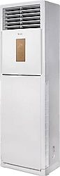 Daylux DVA125A 41000 BTU Salon Tipi Klima