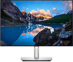 Dell UltraSharp U2421E 23.8" WUXGA 5 ms Pivot IPS 60 Hz Monitör