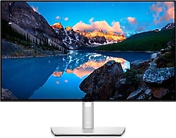 Dell P2422HE 23.8