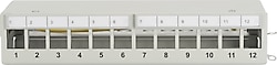 Digitus DN-93706 12 Port Patch Panel