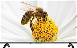 Dijitsu 42 DS 9000 Full HD 42" 106 Ekran Uydu Alıcılı Android Smart LED TV