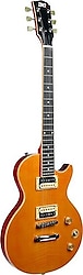 Dmx Guitars Gitar