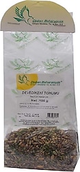 Doğan Baharat Devedikeni Tohumu 100 gr