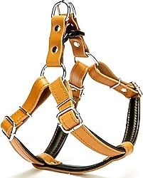 Doggie Firstclass Deri Ronin M 2X45-55 cm Camel Köpek Göğüs Tasması