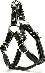 Doggie Firstclass Deri Ronin M 2X45-55 cm Siyah Köpek Göğüs Tasması