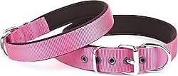 Doggie Konfor Dokuma Sade 3x42-50 cm Boyun Tasması - Mor