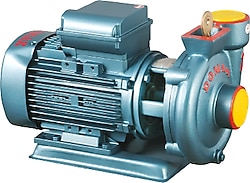 Domak SLG-2 220 V 2 Hp Monoblok Elektropomp