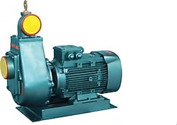 Domak ÜK2 220 V 1.5 Hp Monoblok Elektropomp