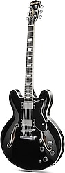 Donner DJP-1000 Semi-Hollow Elektro Gitar
