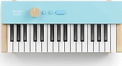 Donner Eastar Kido V-10 32 Tuşlu Mini Org