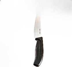 Dr. Inox 25 cm Şef Bıçağı