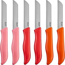 Dr. Inox 18 cm Sunset 6'lı Meyve Bıçağı