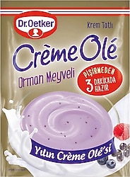 Dr. Oetker Creme Ole Orman Meyveli 89 gr