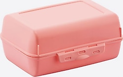 Dünya Plastik Derin Lunch Box 30621