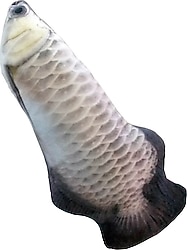 Eastland Arowana Gümüş Peluş Oyuncak 40 cm